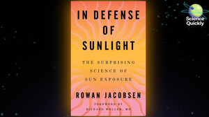 An illustration of a book cover with orange, yellow and pink hues that look like a sunset.