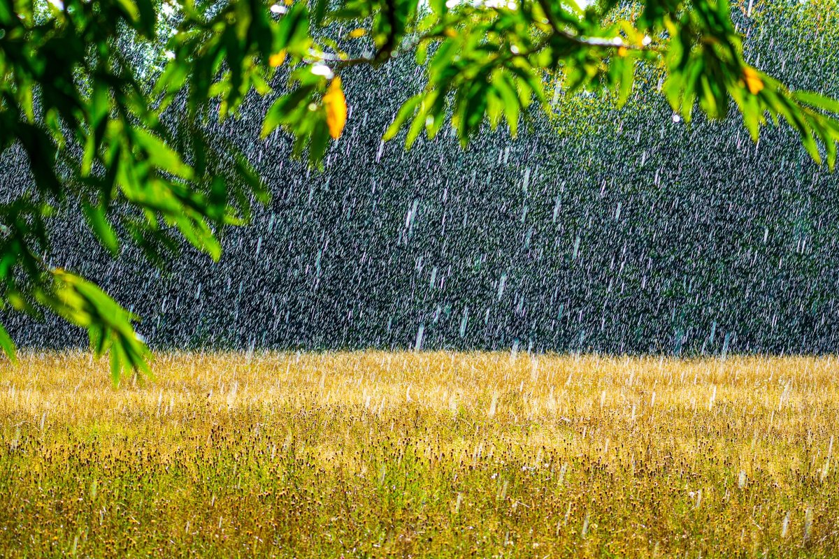 How climate change is altering petrichor, the glorious smell after it rains