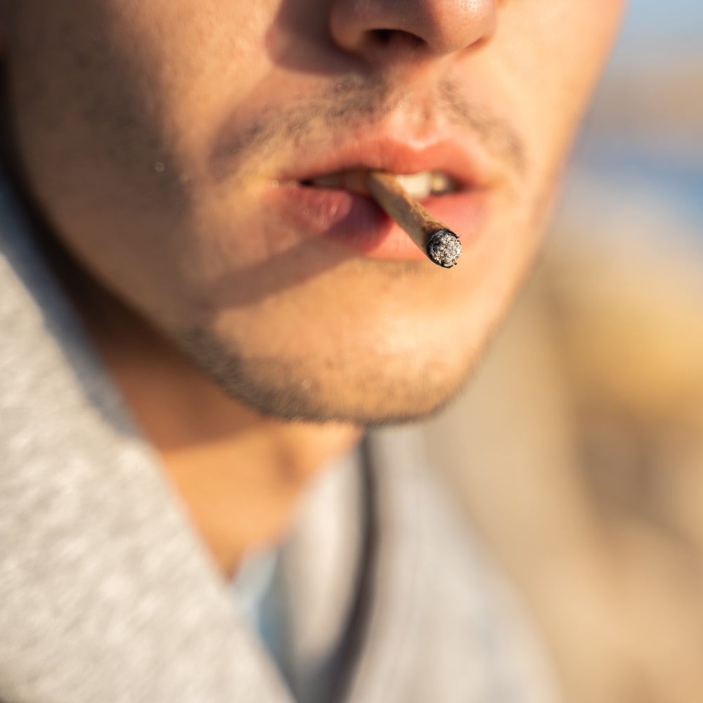 How marijuana rewires the teenage brain How marijuana rewires the teenage brain