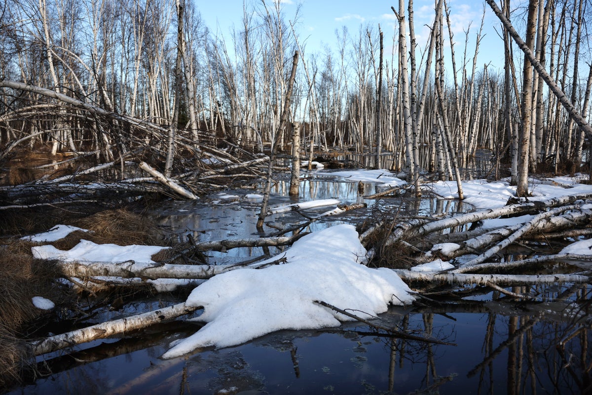 The Alaskan permafrost is thawing. Here's why that's so worrying