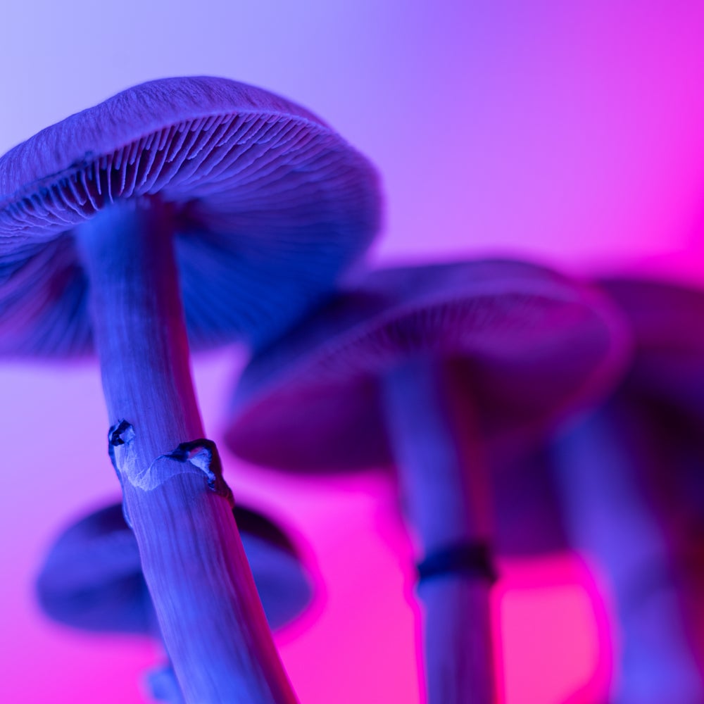 mushrooms glp 1 RFK, Jr., puts psychedelics on fast track to FDA review and approval