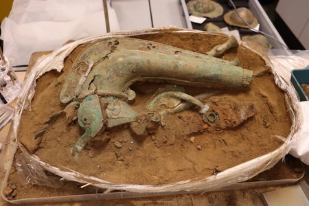 A carnyx or battle horn dating to Iron Age.