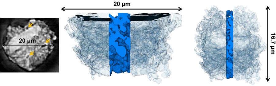 Microscopic scan and two blue 3D reconstructions of a Roman concrete fragment show a tangled, porous calcite network about 20 micrometers across.