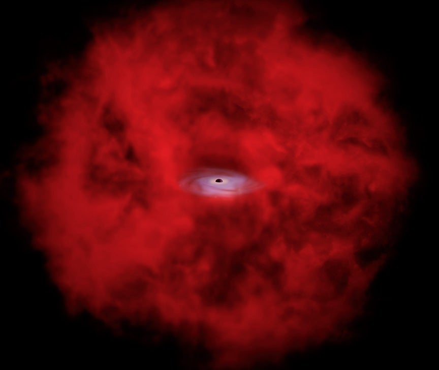 A growing supermassive black hole sits at the center of a vast red cloud of gas and dust in this artist’s concept.