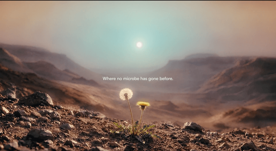 A photorealistic illustration of two dandelions growing from Martian soil, with an austere landscape in the background. Text reading "Where no microbe has gone before" is displayed above the dandelions.