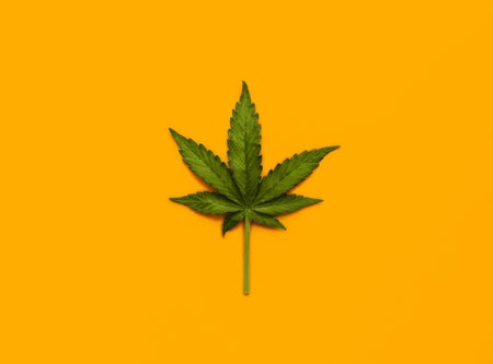 Marijuana leaf over yellow background