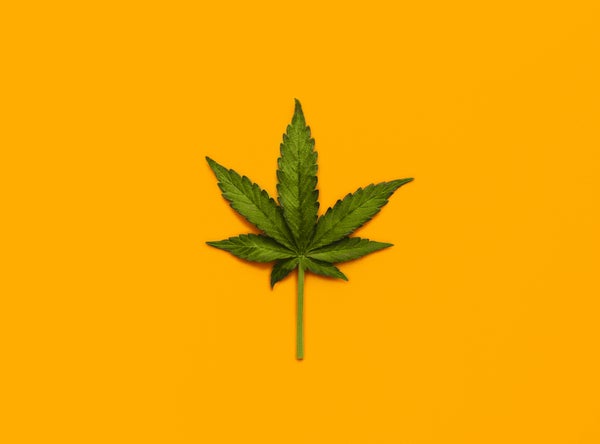Marijuana leaf over yellow background