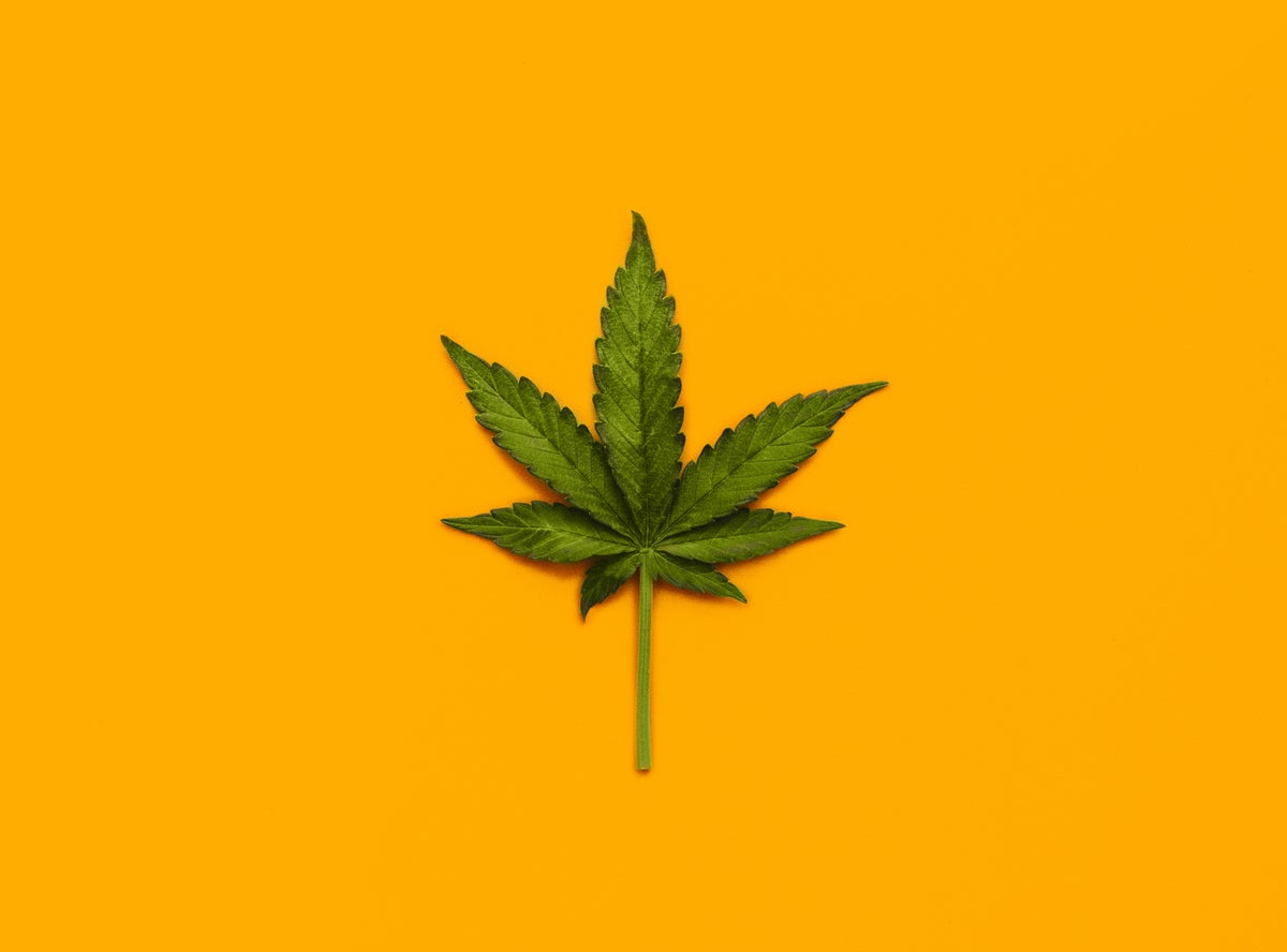 scientificamerican.com - Jackie Flynn Mogensen - What we know-and what we don't-about marijuana's health effects