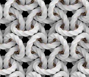 A series of interlocking rope knots