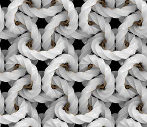 A series of interlocking rope knots