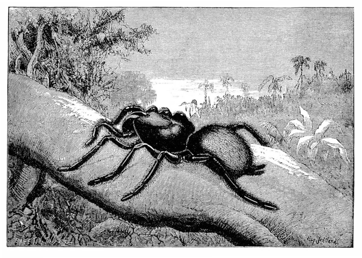 June 2026: Science history from 50, 100 and 150 years ago