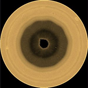 A polar projection of Saturn’s southern hemisphere at a red wavelengths at 763 nanometers that was obtained by the Hubble Space Telescope on August 29, 2025.