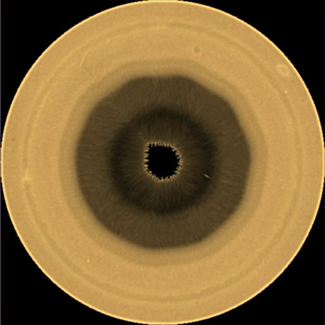 A polar projection of Saturn’s southern hemisphere at a red wavelengths at 763 nanometers that was obtained by the Hubble Space Telescope on August 29, 2025.