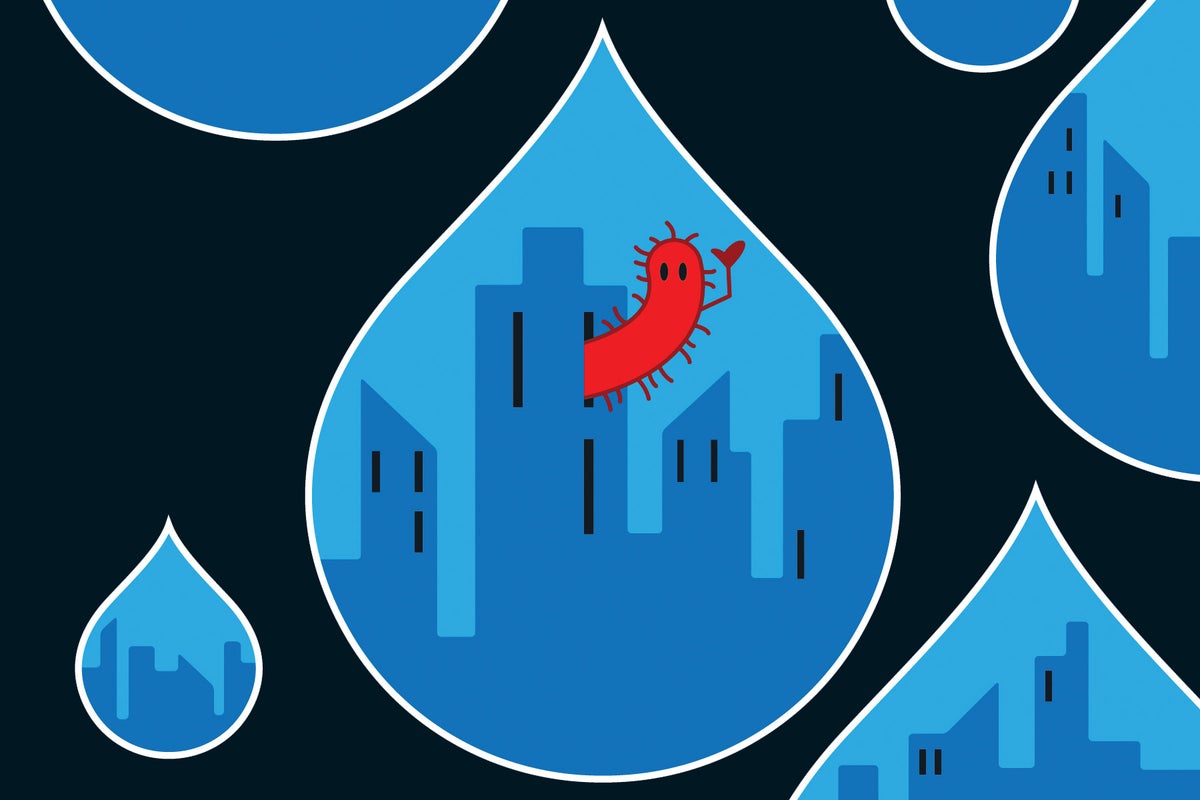 Microbe ‘cities’ May Solve A Key Ocean Mystery