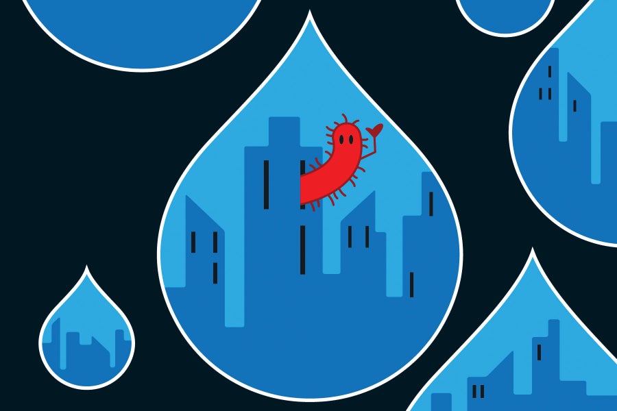 https://static.scientificamerican.com/dam/asset/a5e40db9-2389-433d-9b18-e69fcb900686/sa0626Adva12.jpg?m=1778251465.303&w=900