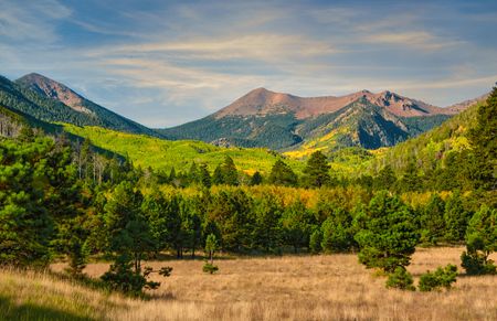 A scenic view of the San Francisco Peaks and aspen trees that surround Lockett Meadow in Arizona.