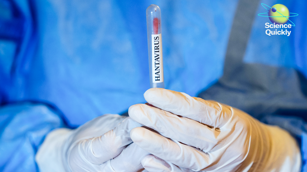 An image of gloved hands holding a Hantavirus sample in a tube while wearing a blue scrubs.