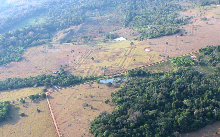 Landscape image showing square ridges in the earth.