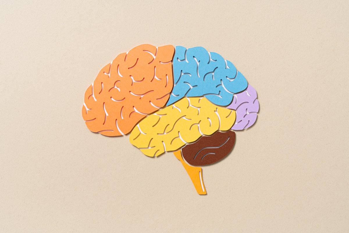 Is there a ‘window of opportunity’ to prevent Alzheimer’s in women?