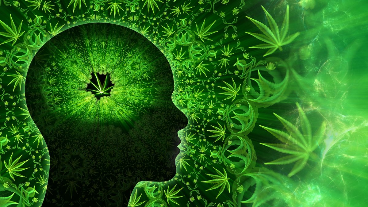 scientificamerican.com - Cody Cottier - Scientists might finally have figured out why weed makes you feel paranoid