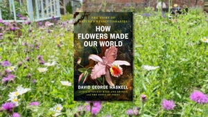 Book cover of How Flowers Made Our World by David Haskell floating above photo of flowers