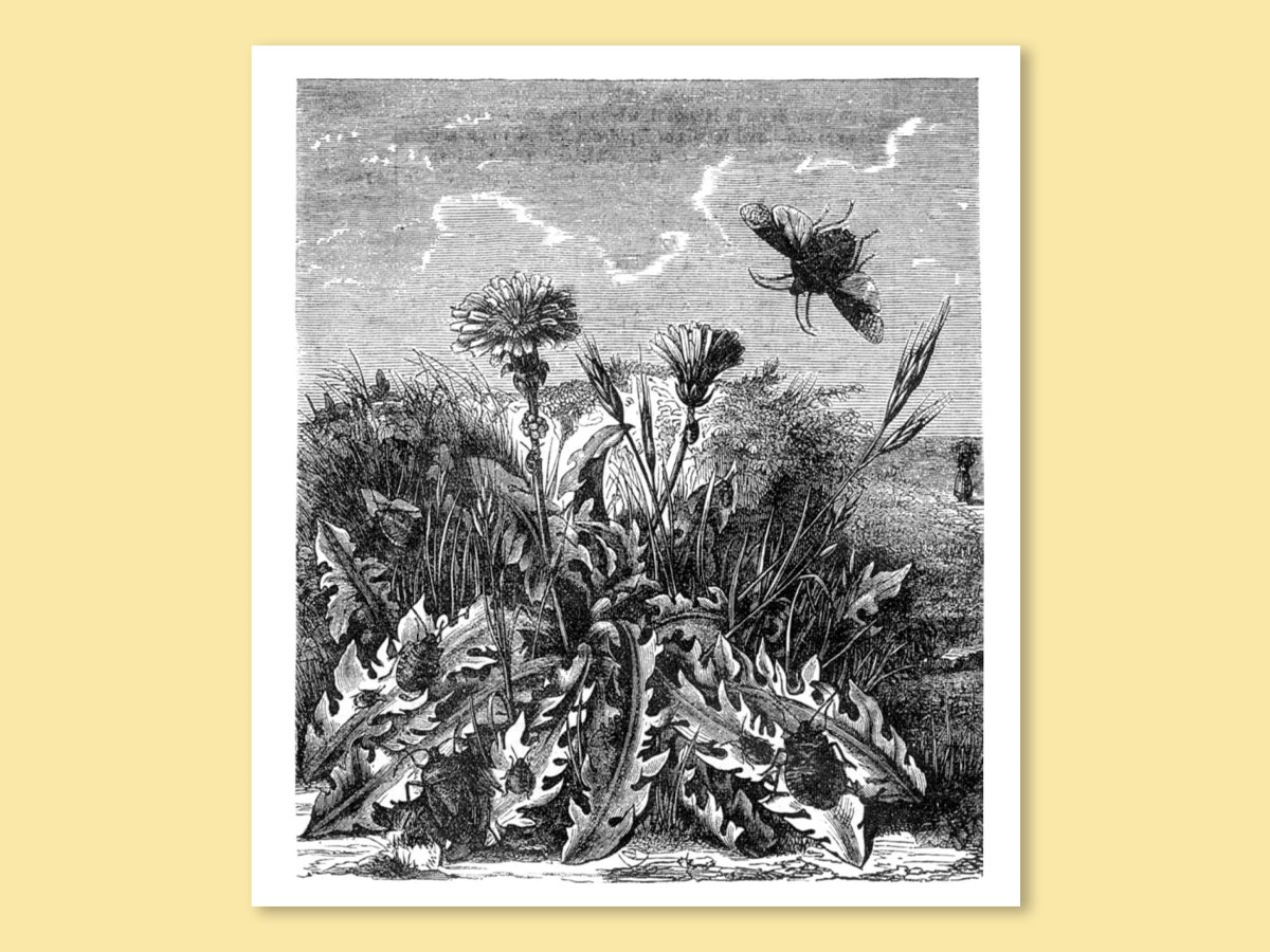 November 2026: Science history from 50, 100 and 150 years ago