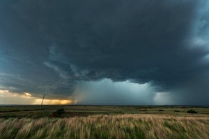 A hail core thunderstorm with severe inflow winds.