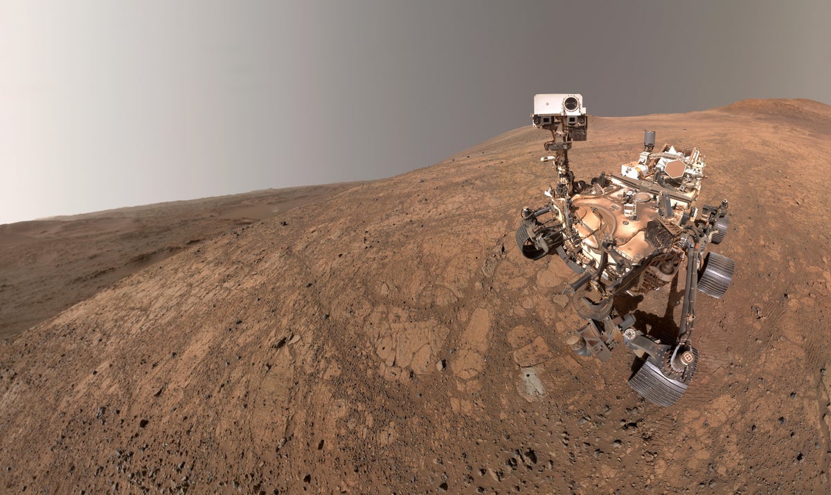 Could this fungus live on Mars? Maybe it already does