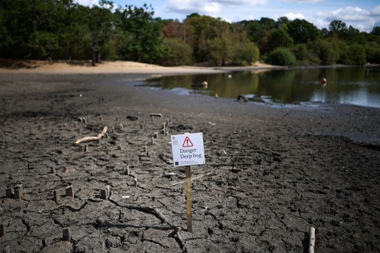 The dried-up bed of Hollow Pond and Leyton Flats.