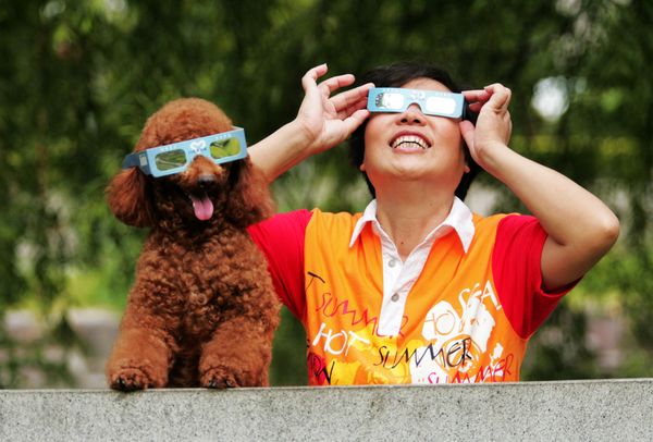 Poodle and a woman with eclipse glasses