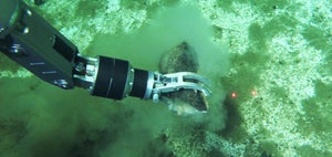 A robotic arm picks a dark fossil up from the seabed.