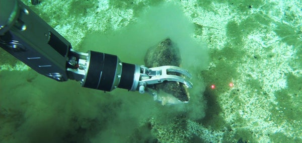 A robotic arm picks a dark fossil up from the seabed.