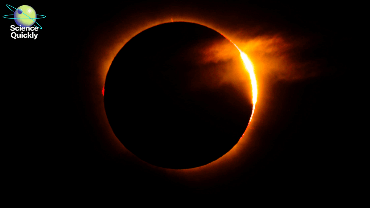 Total solar eclipse, vaccine controversy and coffee health benefits