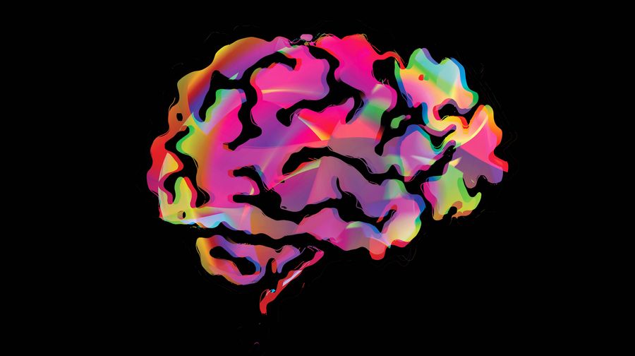 https://static.scientificamerican.com/dam/asset/cd6a2191-bf3b-4ecf-aa33-95c75781c7c8/brain.jpg?m=1786569096.479&w=900