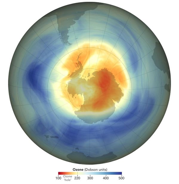 A map shows the size and shape of the ozone hole over the South Pole on the day of its maximum extent in 2025. Moderate ozone losses (orange) are visible amid areas of more potent ozone losses (red). Scientists describe the ozone “hole” as the area in which ozone concentrations drop below the historical threshold of 220 Dobson units.