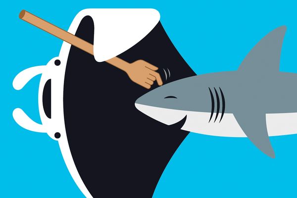 A conceptual illustration, by Thomas Fuchs, of a manta ray holding a scratching stick with a hand on one end tickling a shark's nose.