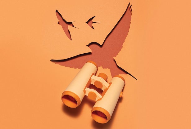 Dimensional binoculars inside a cutout of a bird.