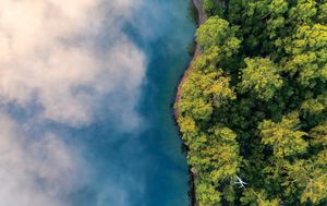 Fog gathers above the water near a green, tree-covered coastline.