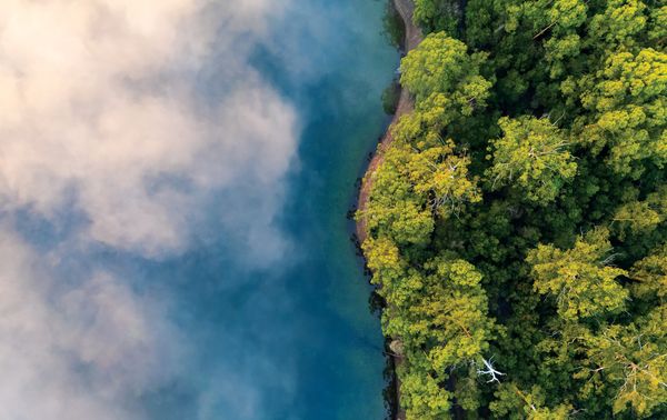 Fog gathers above the water near a green, tree-covered coastline.