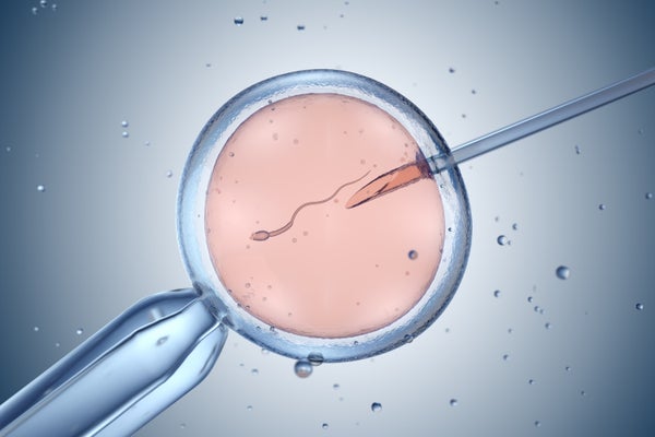Illustration of a sperm being injected into an egg in a lab dish
