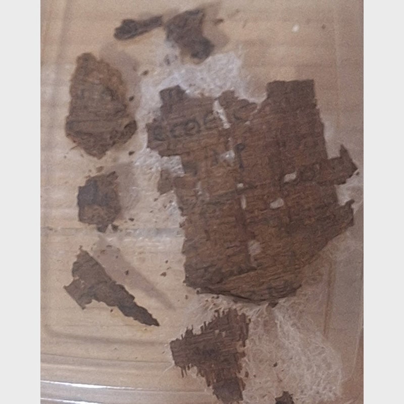 A papyrus containing a snippet of the Iliad found in an Egyptian mummy.