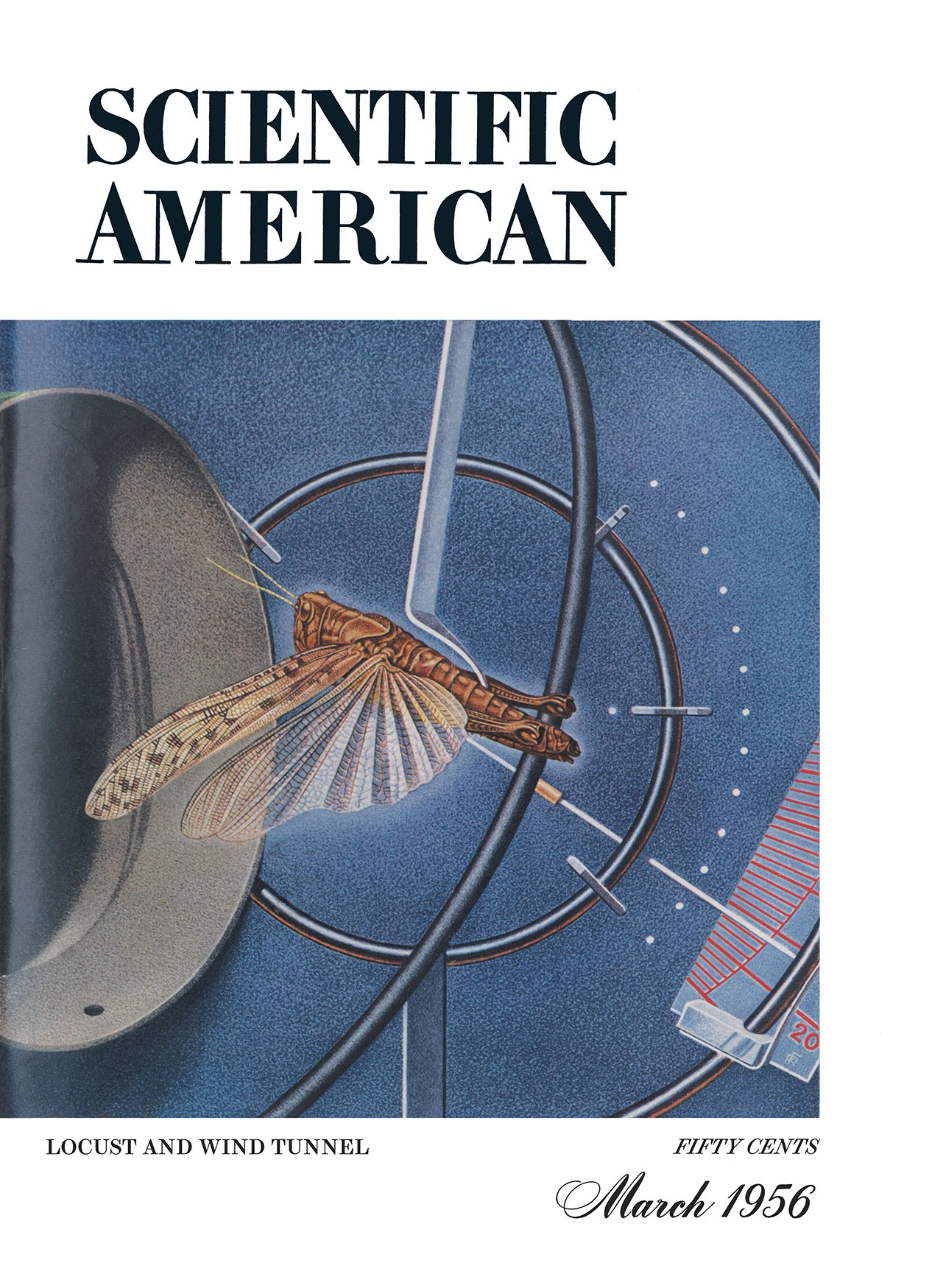 Scientific American Magazine Vol 194 Issue 3