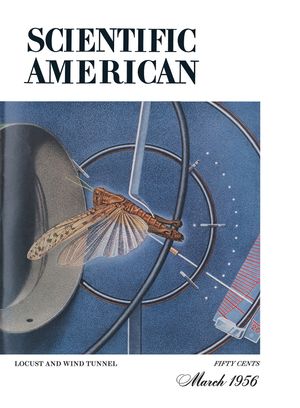 Scientific American Magazine Vol 194 Issue 3