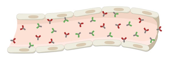 Illustration of a hidden immune regulator.
