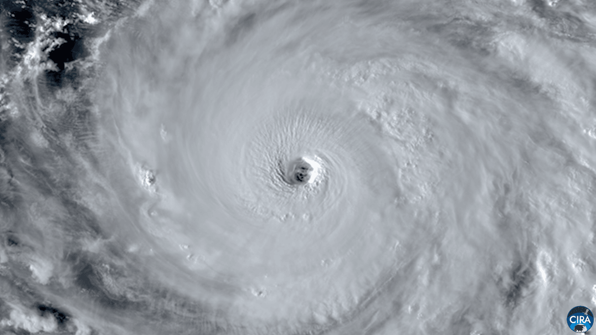 scientificamerican.com - Jackie Flynn Mogensen - Super Typhoon Champi sets the record for strongest storm of 2026