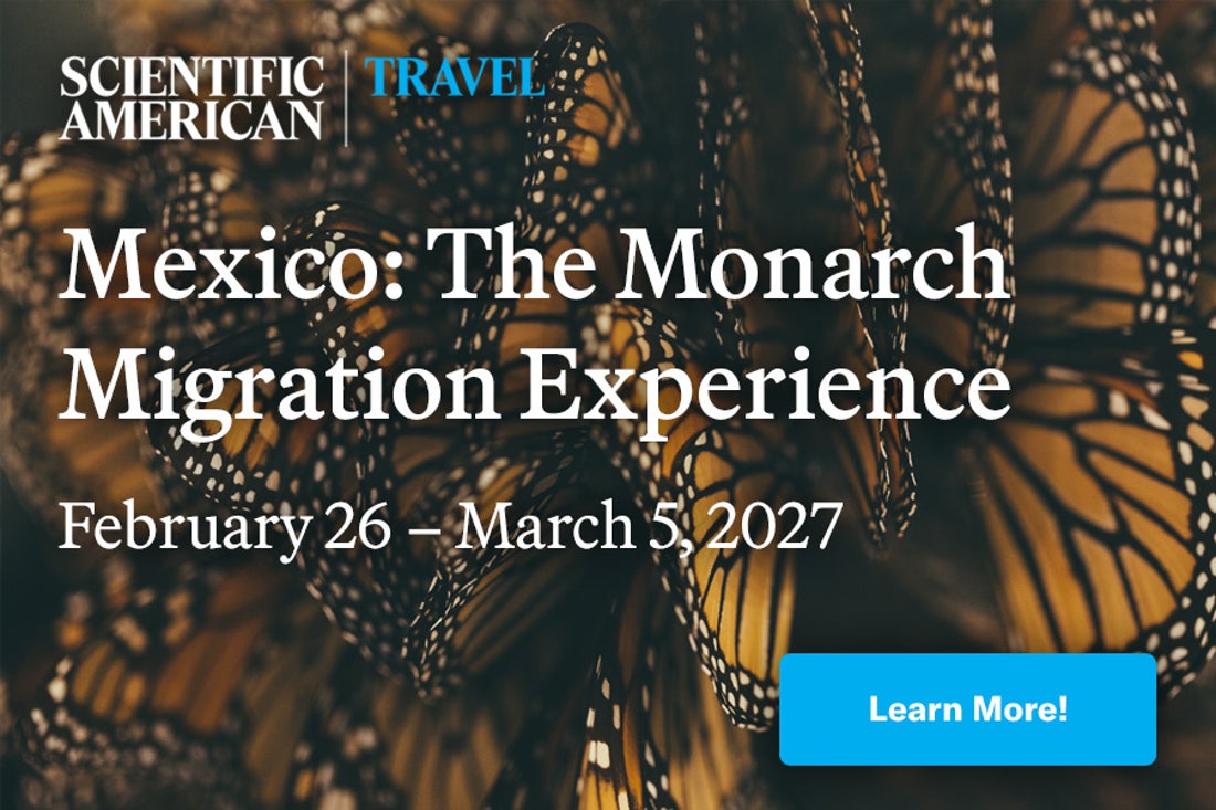 Mexico The Monarch Migration Experience Scientific American travel ad.