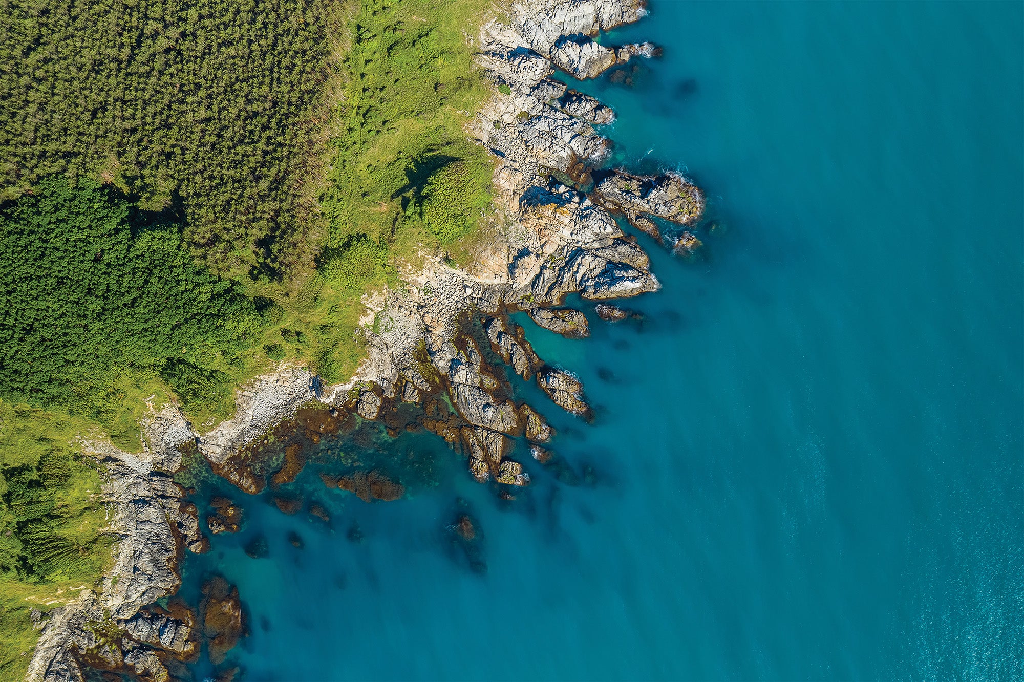 A jagged, rocky curved coastline extends along a green stretch of land, which is textured with trees and plants in an overhead view.