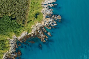 A jagged, rocky curved coastline extends along a green stretch of land, which is textured with trees and plants in an overhead view.