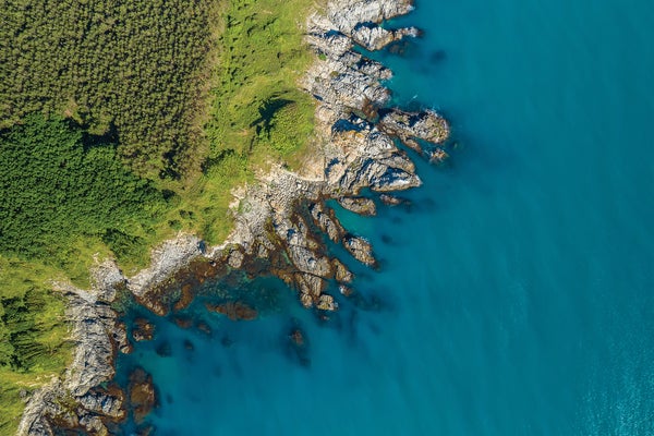 A jagged, rocky curved coastline extends along a green stretch of land, which is textured with trees and plants in an overhead view.
