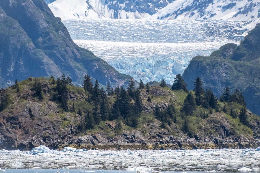 A rocky island with shrubs and evergreens seen against the backdrop of a glacier and steep fjord walls